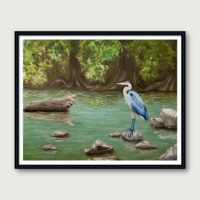 River Guardian blue heron oil painting print – heron standing in Guadalupe River with cypress trees – fine art print by Hayward Gaude
