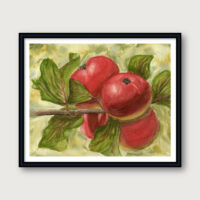Framed botanical watercolor print of apples on a branch with green leaves – Autumn Orchard by Hayward Gaude.