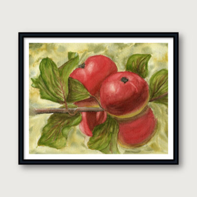 Framed botanical watercolor print of apples on a branch with green leaves – Autumn Orchard by Hayward Gaude.