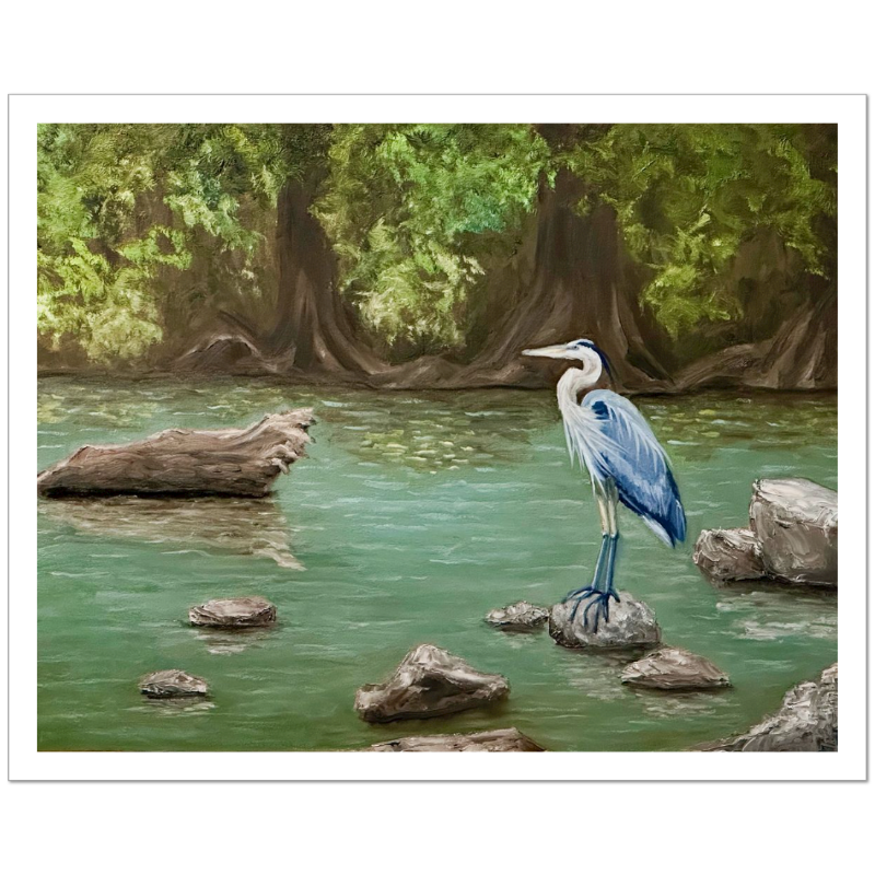 River Guardian blue heron oil painting print – heron standing in Guadalupe River with cypress trees – fine art print by Hayward Gaude