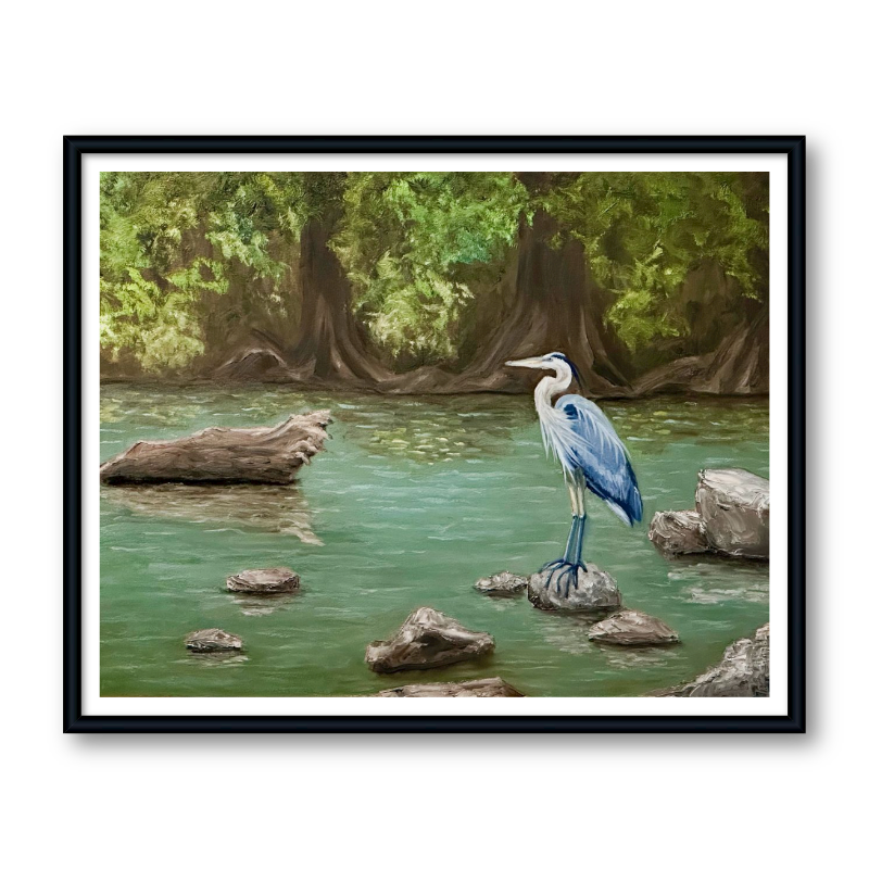 River Guardian blue heron oil painting print – heron standing in Guadalupe River with cypress trees – fine art print by Hayward Gaude