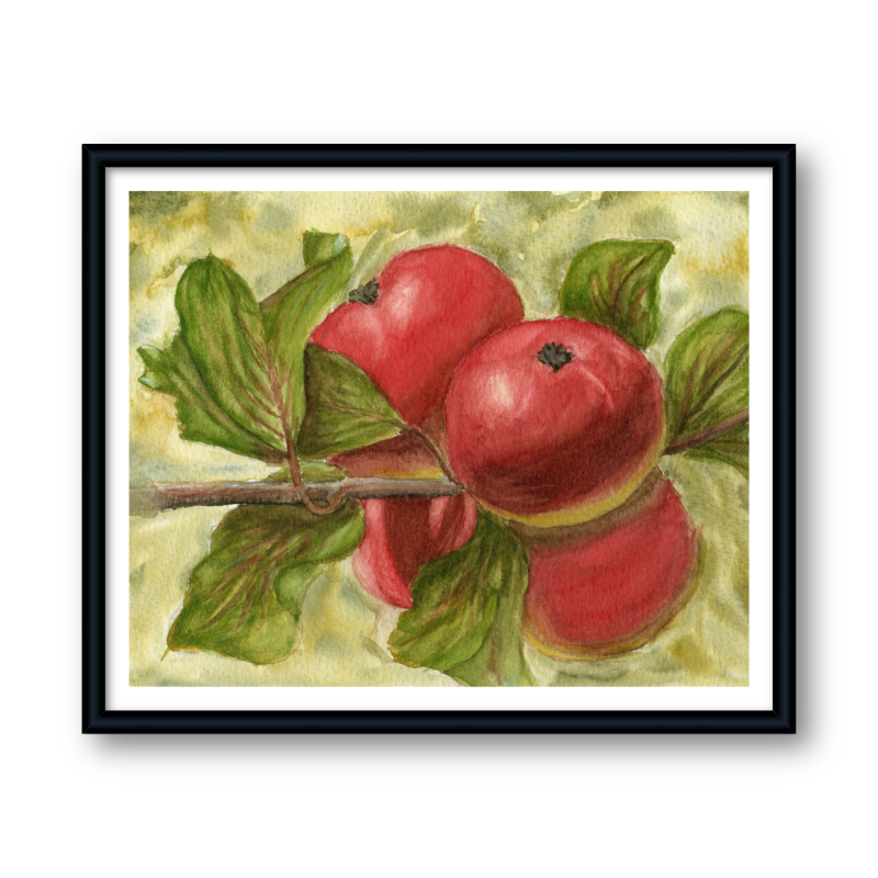 Framed botanical watercolor print of apples on a branch with green leaves – Autumn Orchard by Hayward Gaude.