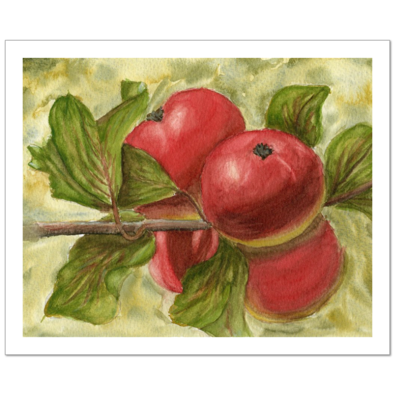 Framed botanical watercolor print of apples on a branch with green leaves – Autumn Orchard by Hayward Gaude.