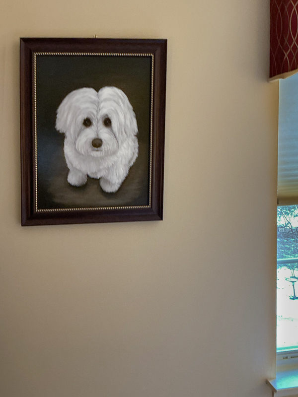 Framed oil portrait of Frankie, a small white dog with expressive dark eyes, painted as a memorial pet portrait on a soft neutral background.