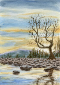 Watercolor painting of a bare tree reflected in still water under a soft sky.