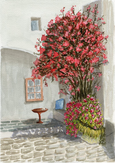 Bougainvillea – Watercolor - 9x12"