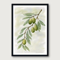 Watercolor olive branch with green leaves on a soft neutral background