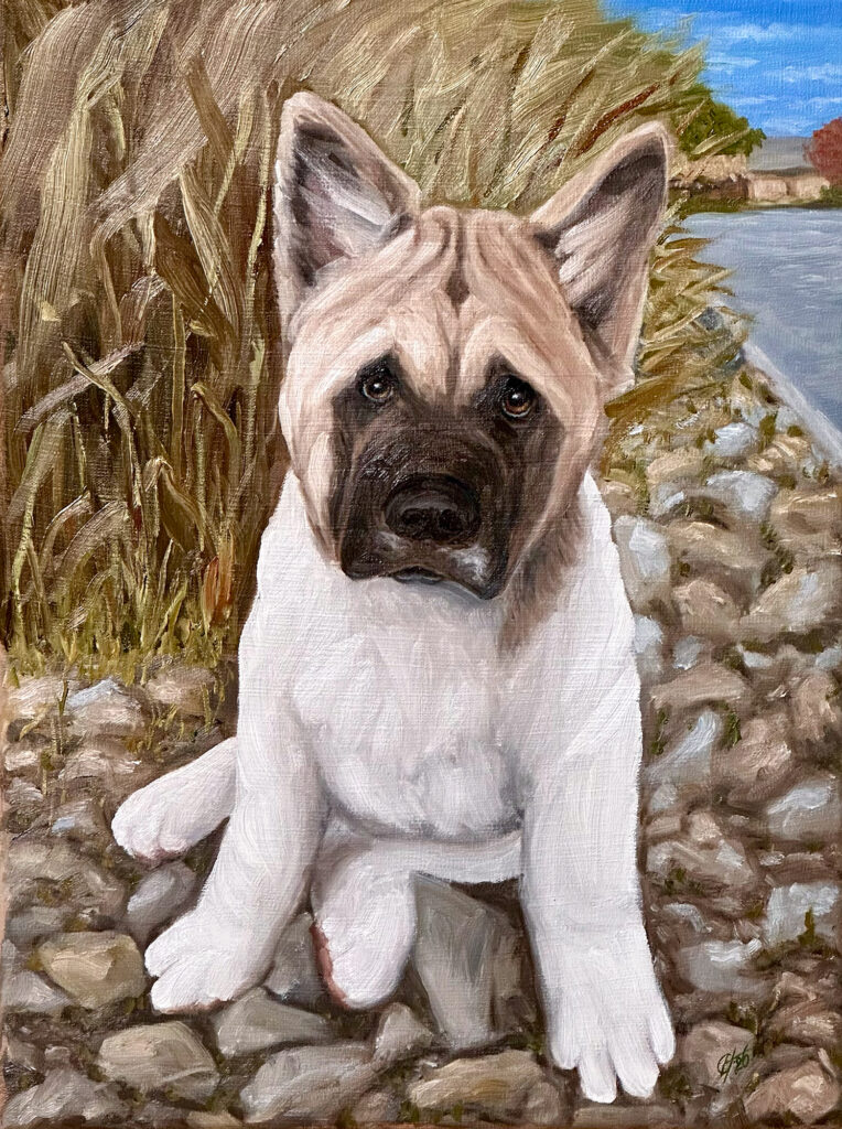 Oil painted portrait of an Akita puppy in an outdoor residential setting