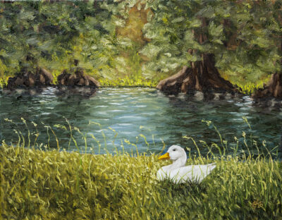 Original Painting of a duck along the guadalupe river titled Nowhere to Hide